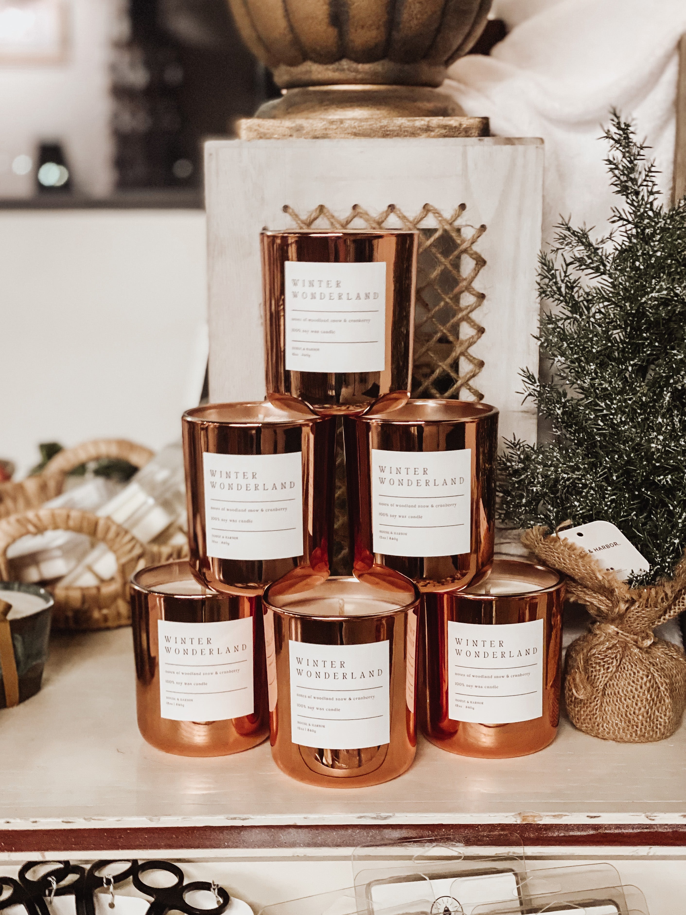 Winter Wonderland Soy Candle