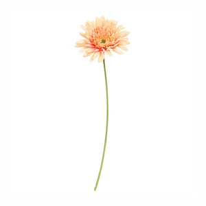 Blooming Daisy Stem, Dark Pink