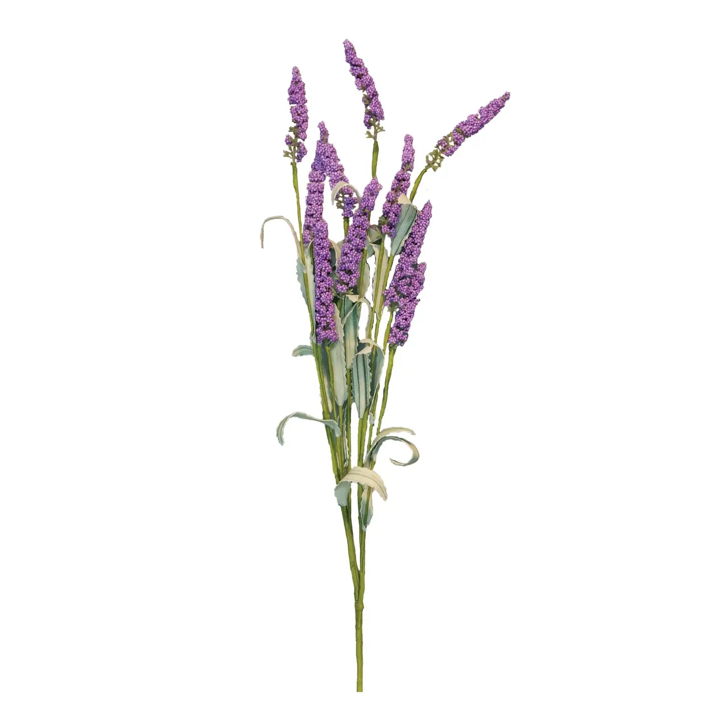 lavender heather plant Lavender Heather Spray – House & Harbor