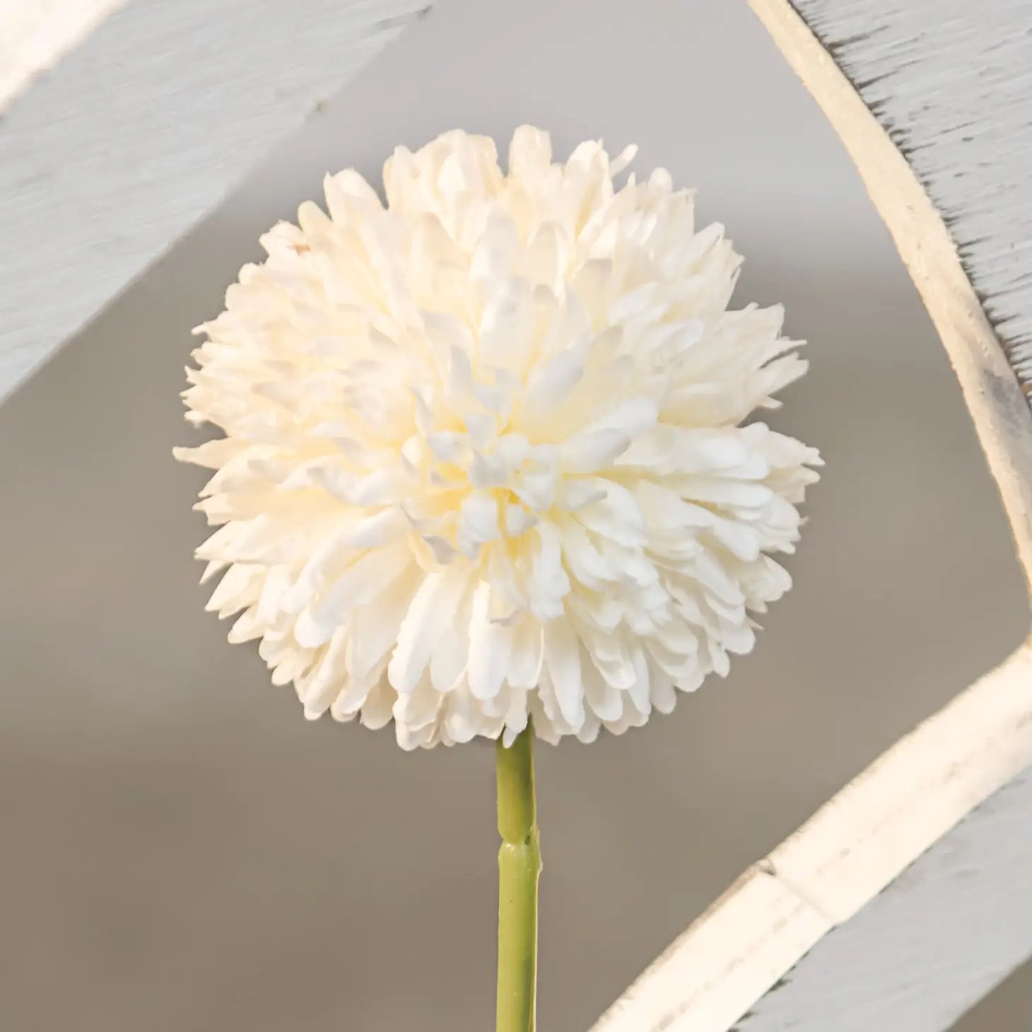 Pompom Stem, White
