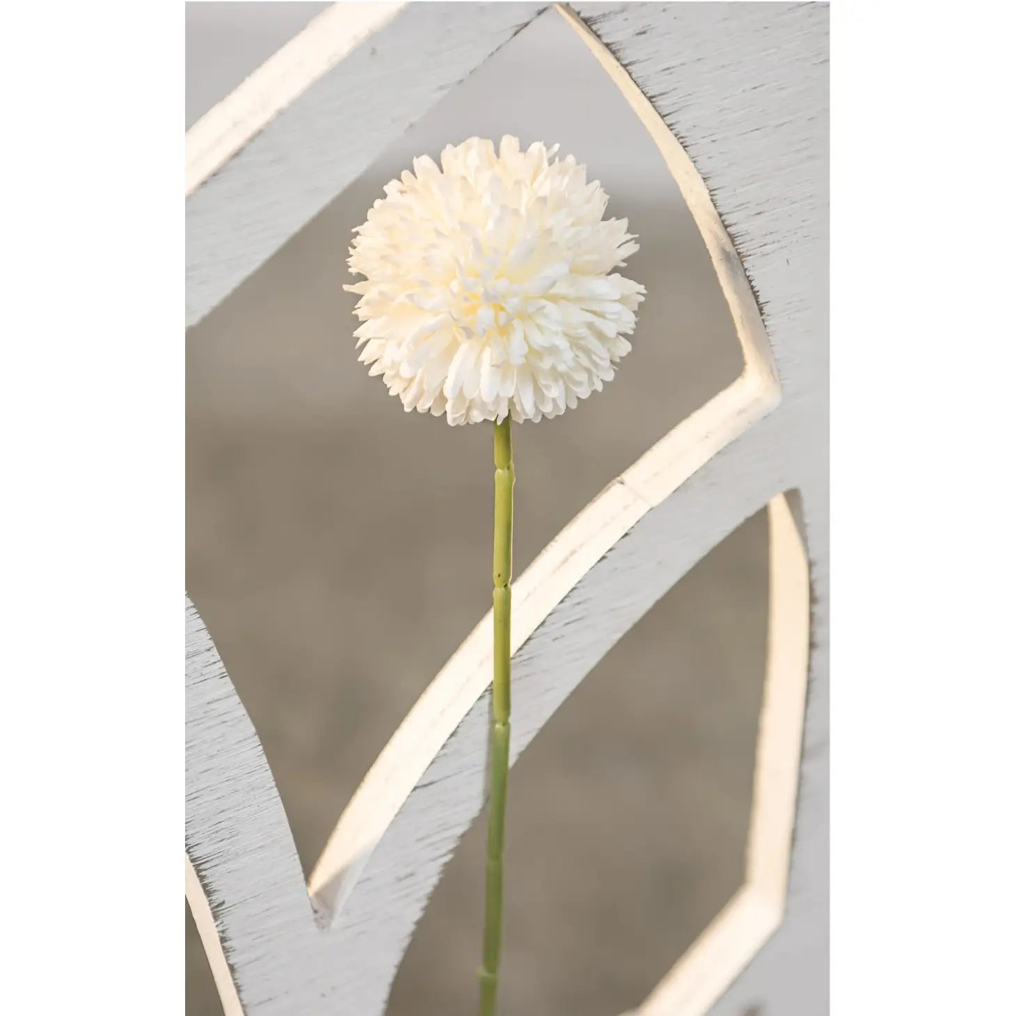 Pompom Stem, White
