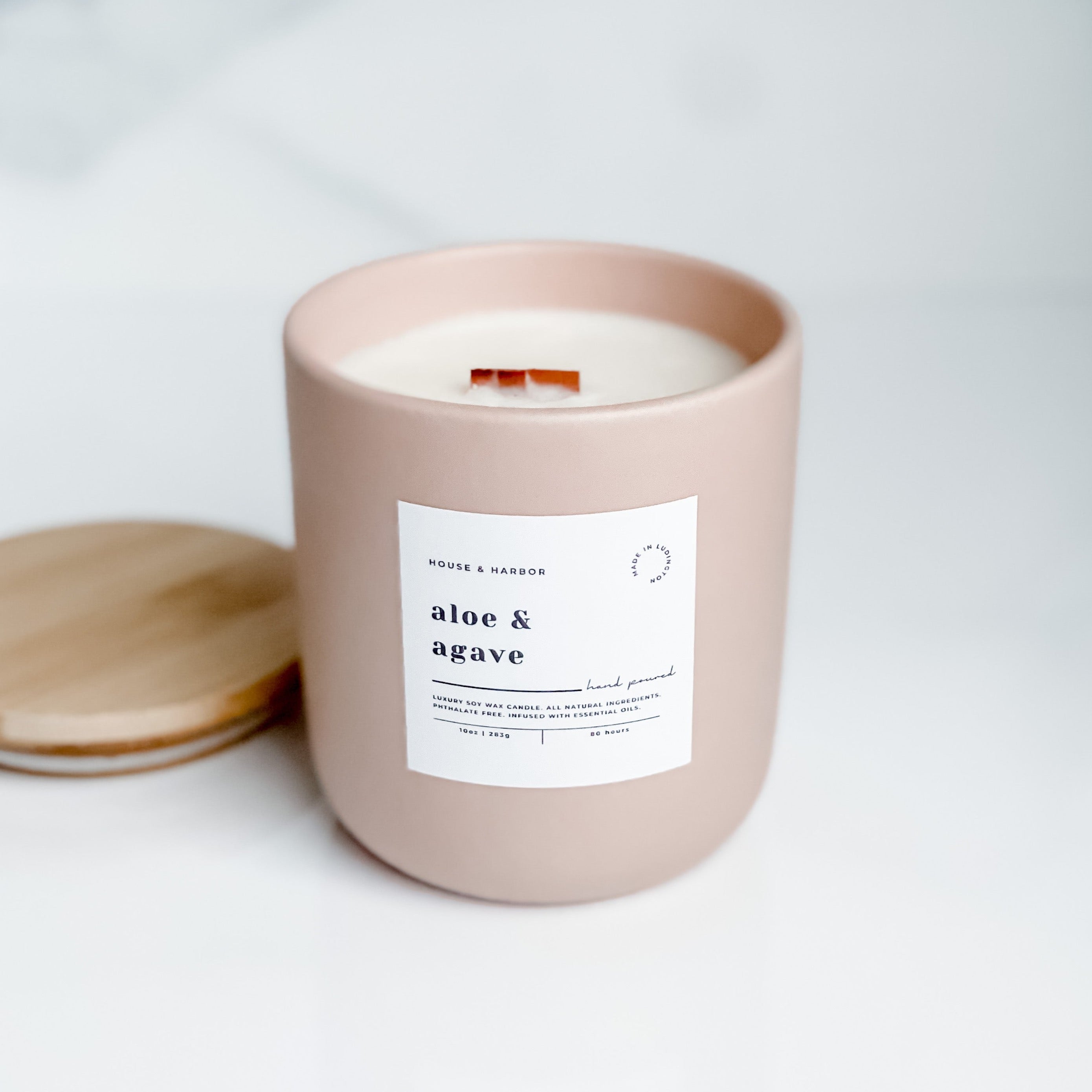 Aloe & Agave Soy Candle