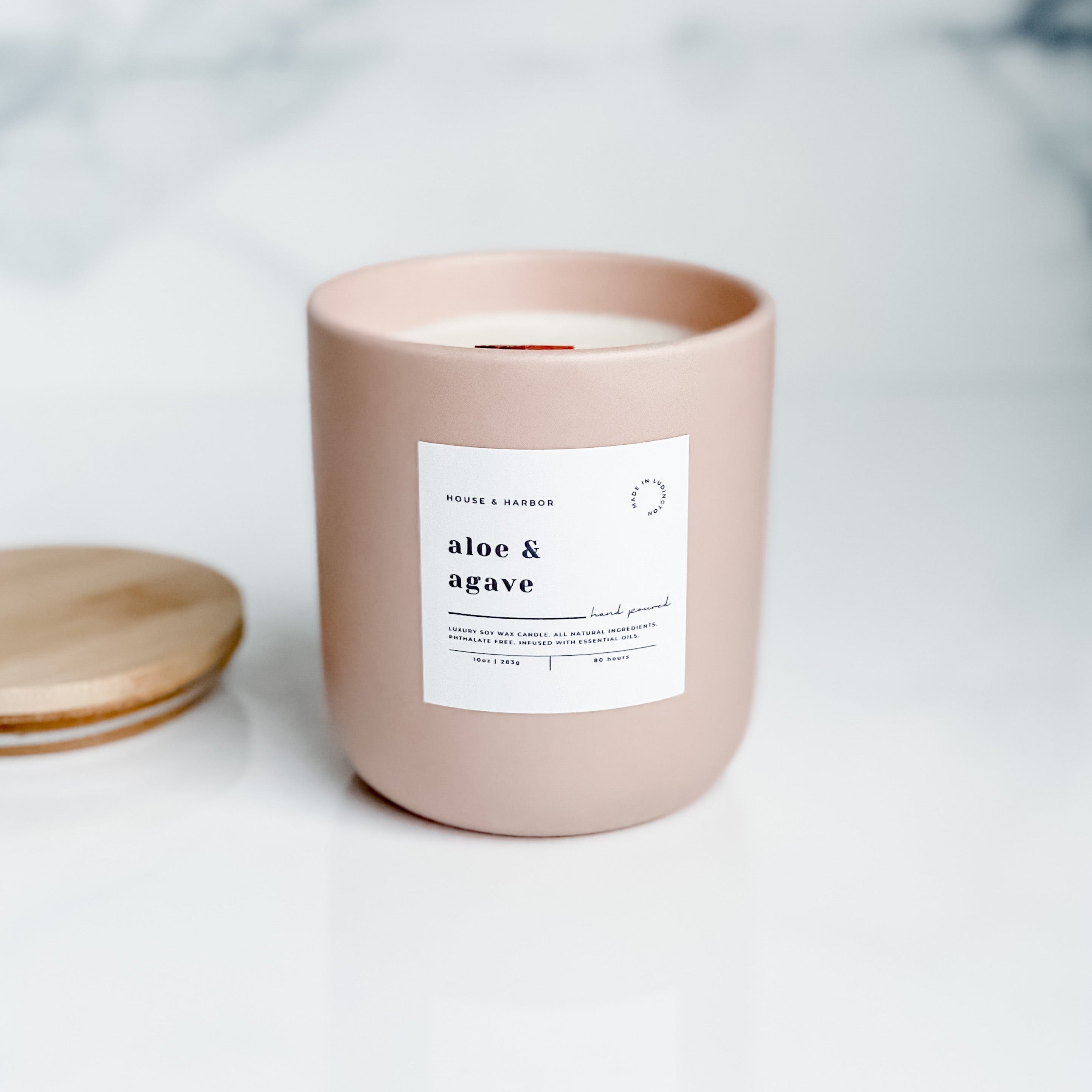 Aloe & Agave Soy Candle